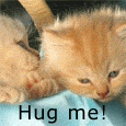 Hug Me!