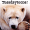 It's jus' Tuesday!