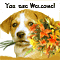 Say Welcome With Flowers!