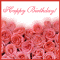 Birthday Roses For You!