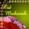 Eid ul-Adha Greetings...