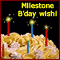 Milestone Birthday Wish!