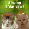 Cat's Singing Happy Birthday!