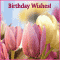 Warm And Beautiful B'day Wishes!