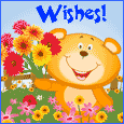 Get Well Soon Wishes...