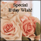 Special Birthday Message...