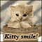 Cute Kitty!