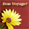 Bon Voyage! Have A Safe Journey!