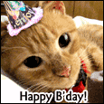 Happy Birthday Kitty!