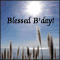 Have A Blessed Birthday!