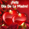 D&iacute;a De La Madre