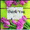 Thank With Butterflies And Tulips!