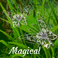 Magical Fairy Birthday Wishes!