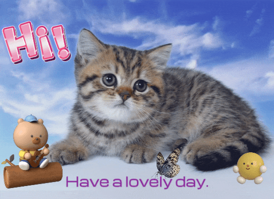 Hi And Have A Lovely Day.