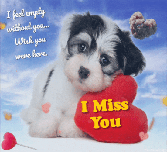 Feel So Empty Without You.