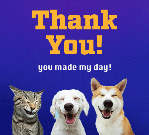 Funny And Colorful Thank You Card!