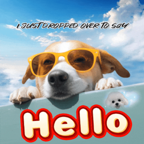 Just Dropped By To Say Hello.