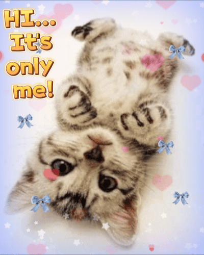 Hi... It&rsquo;s Only Me!