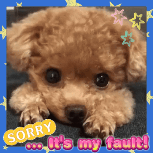 Sorry It&rsquo;s My Fault!