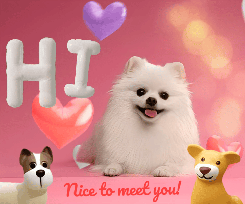 Hi, Nice To Meet You!