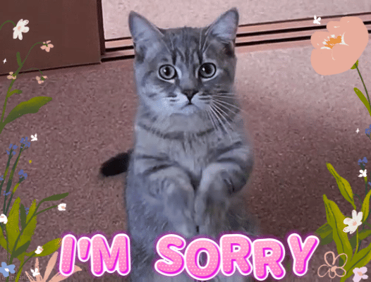 An Apologizing Cat.