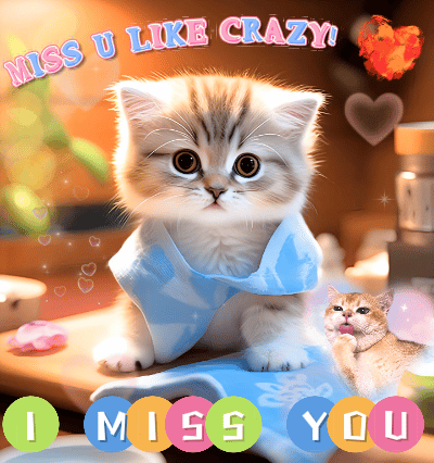 I Miss You Like Crazy!