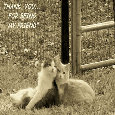Best Friends Thank You Cats!