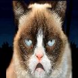 Grumpy Cat Happy Birthday Song.