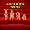 A Cute Birthday Song.