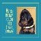 Funny Dog Lover Card To Say Get Well!