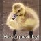 Little Duck Says Have A Great Day.