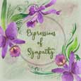 Expressions Of Sympathy With Flowers.