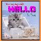 A Cute Cat Greeting You Hello.