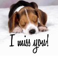 Sending I Miss You Ecard.