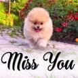 Miss You !