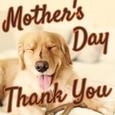 Simple Thank You Ecard On Mother&rsquo;s Day.