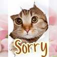 I Am Sorry Ecard.