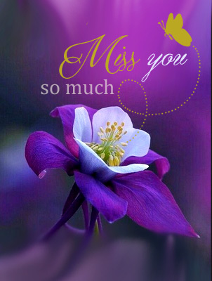 Miss You With Butterfly.