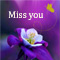 Miss You With Butterfly.