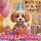 Cute Birthday Greetings For Your Pet.