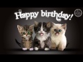 Happy Birthday cats